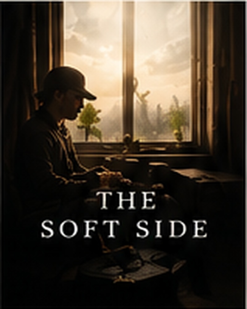Pochette de The Soft Side